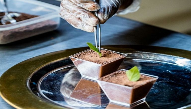 صناعة الشوكولاتة في هايتي صناعة الشوكولاتة في هايتي