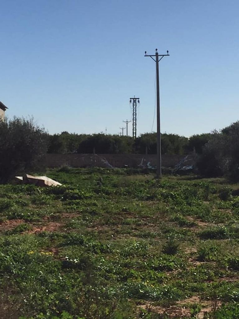 سرقة أسلاك كهربائية في جنوب طرابلس. (شركة الكهرباء)