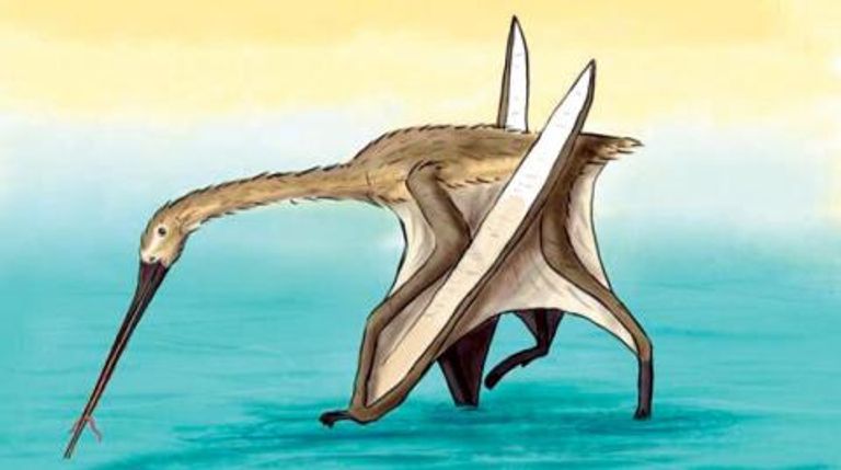 شكل تخيلي لطريقة تغذية الـ (نودوسور)