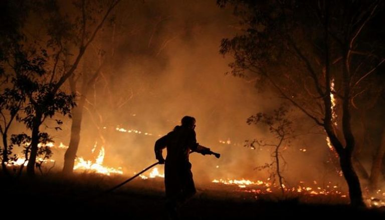 حرائق الغابات في أستراليا تسببت في مقتل 33 شخصا