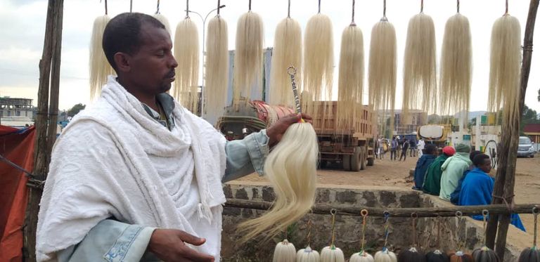 "شيرا" أداة تُصنع من ذيل الحصان