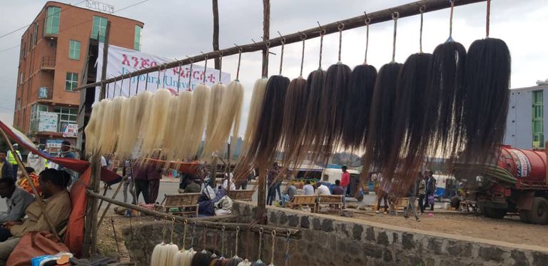 "شيرا" أداة تُصنع من ذيل الحصان