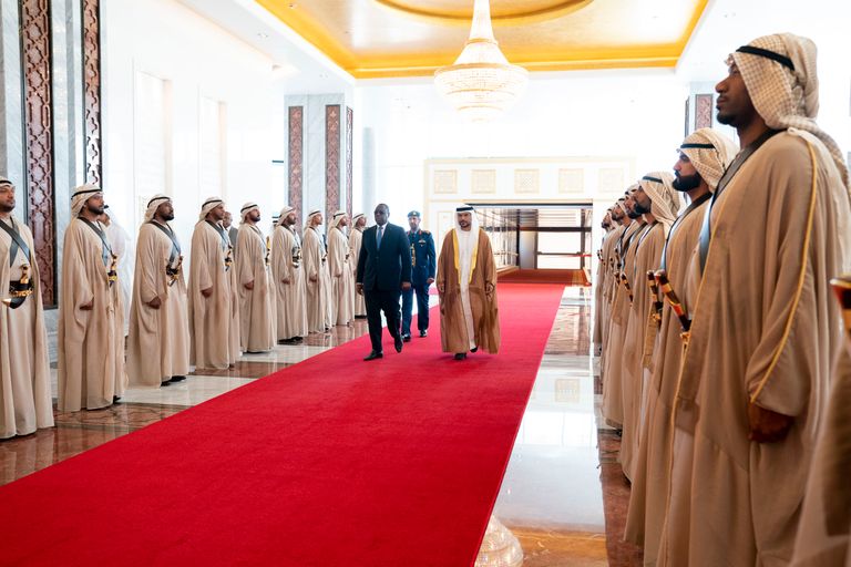 جانب من استقبال الرئيس السنغالي في أبوظبي