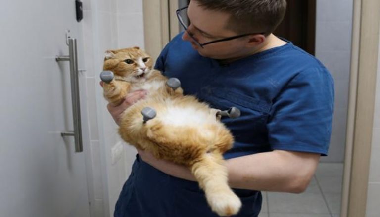 الطبيب الروسي سيرجي جورشكوف مع القط "ريجيك"