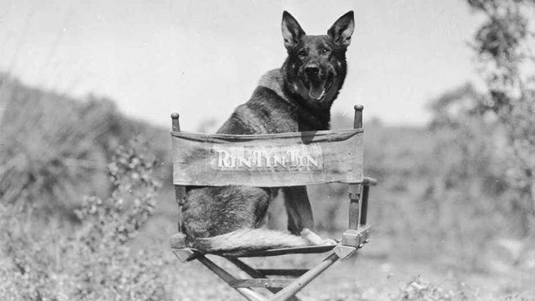 الشخصية الكرتونية