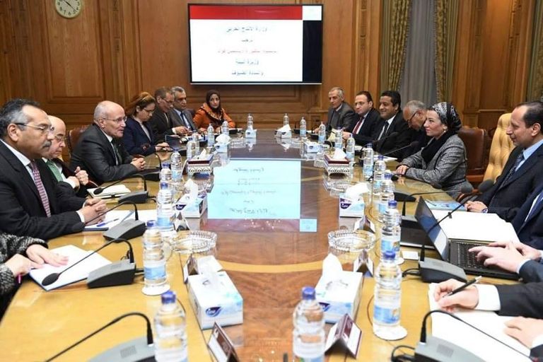 جانب من لقاء وزيري الإنتاج الحربي والبيئة في مصر