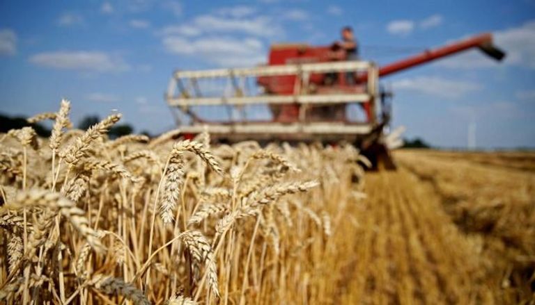 مزارع فرنسي يحصد القمح - رويترز