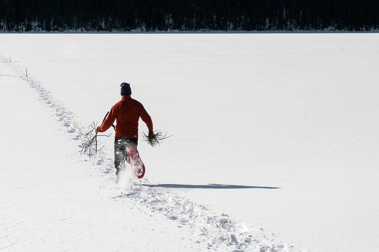 أحد أعمال الفنان سيمون بيك