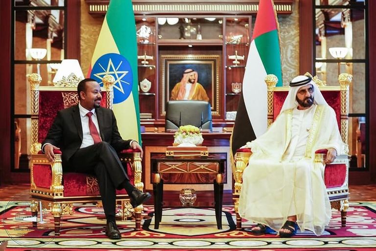 جانب من لقاء آبي أحمد بدولة الإمارات مع الإثيوبيين المغتربين