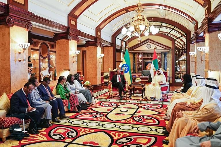 جانب من لقاء آبي أحمد بدولة الإمارات مع الإثيوبيين المغتربين