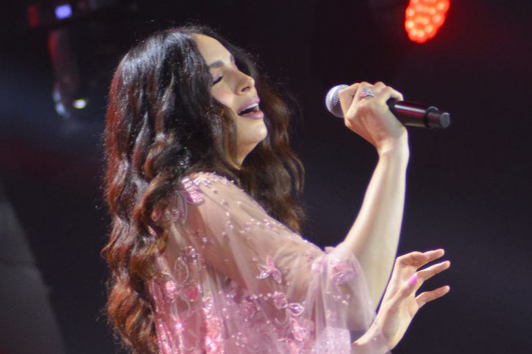 مطرب المهرجانات المصري حسن شاكوش