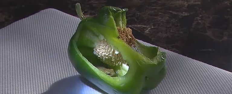 الضفدع داخل ثمرة الفلفل السليمة