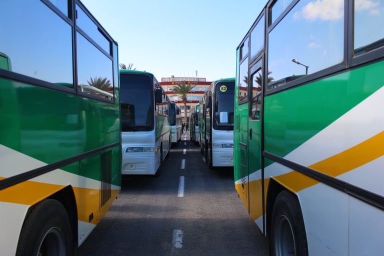 وزيرة الصحة المصرية تقدم الهدايا للأطفال بالحجر الصحي