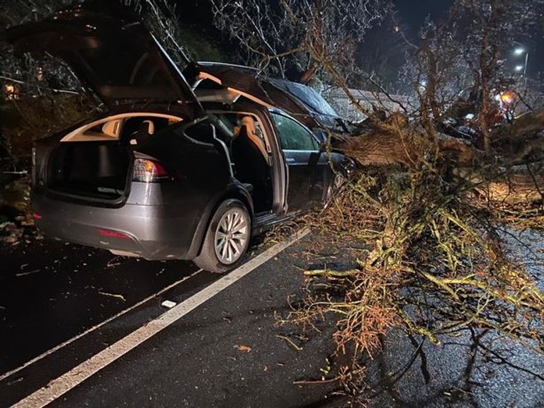 إحدى سيارات تسلا الناجية من الحادث