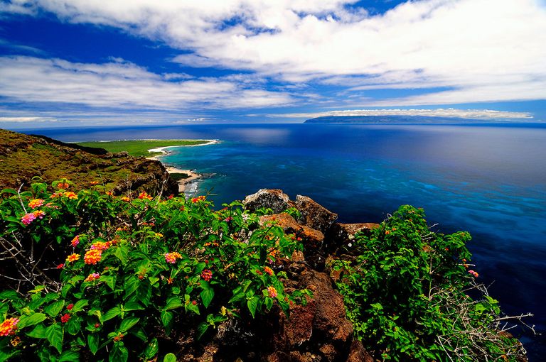 جزيرة نيهاو في أرخبيل هاواي