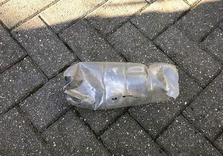 الثعلب بعد تحرره من الزجاجة