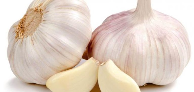 الشوكولاتة الداكنة لها خصائص تعزز مناعة الجسم