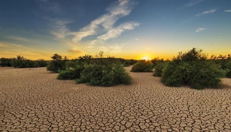 التغير المناخي ساهم في زيادة الجفاف بأستراليا