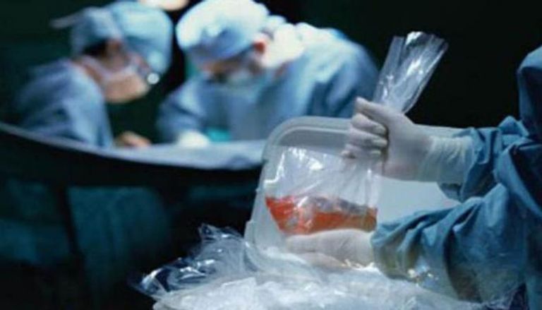 مصر تضبط خلية للاتجار بالأعضاء البشرية- أرشيفية
