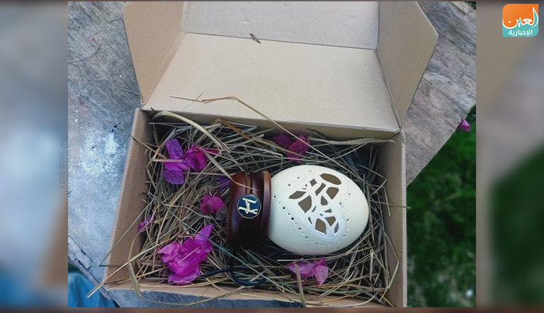 الفتاة المصرية هدى ناصر