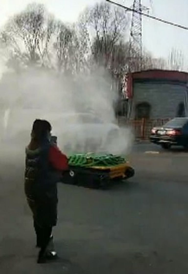 نفوق طيور وحيوانات برية بسبب مبيدات تم رشها لمنع انتشار كورونا