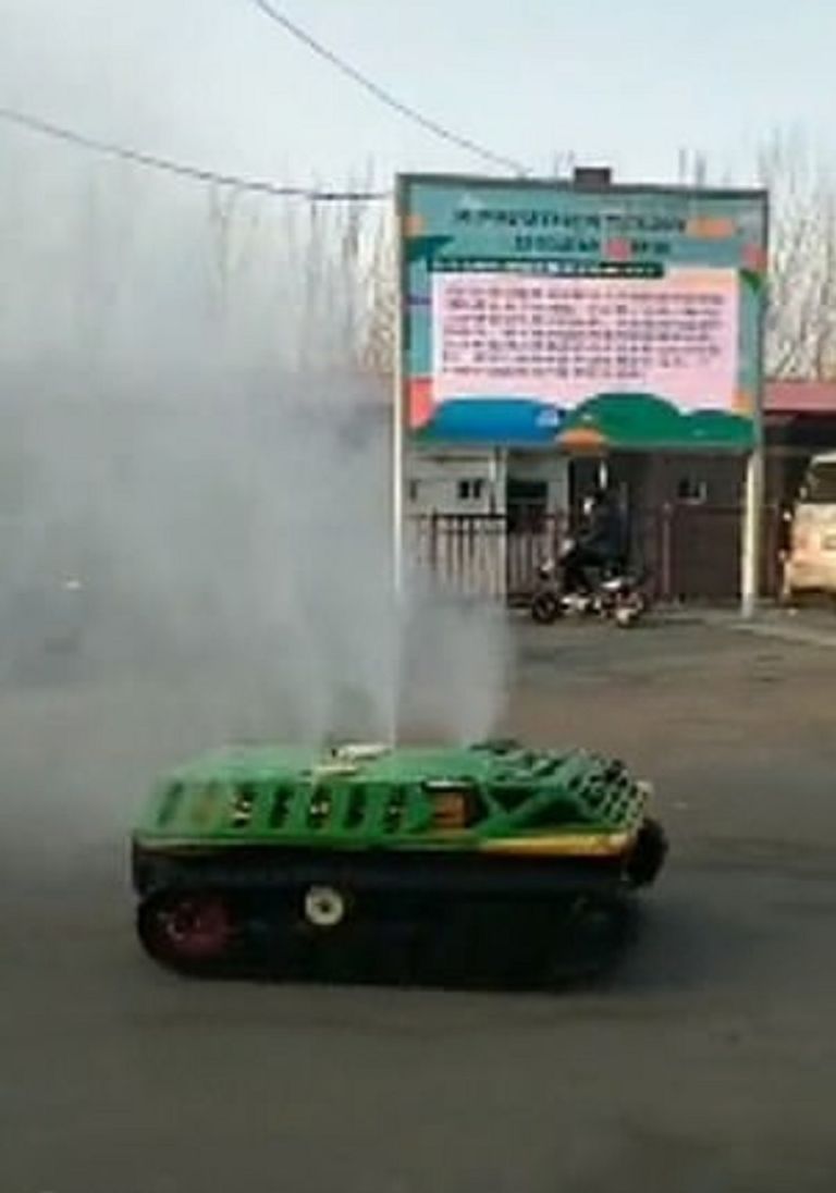 نفوق طيور وحيوانات برية بسبب مبيدات تم رشها لمنع انتشار كورونا