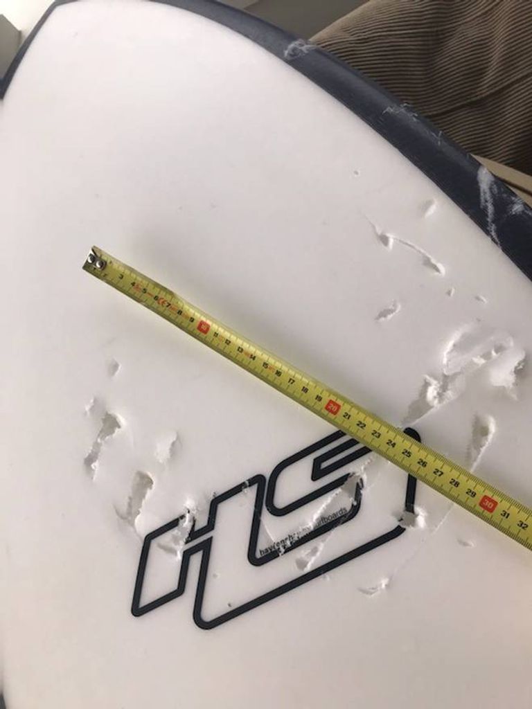 نيوزيلندي يلكم قرشا أبيض عضه في ذراعه