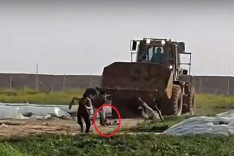 شبان فلسطينيون يحاولون انتشال جثمان الشهيد من أنياب الجرافة الإسرائيلية الجرافة الإسرائيلية التي نكلت بجثمان الشهيد الفلسطيني