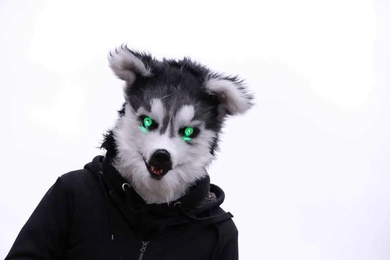 يونسكو ضم المهرجان لقائمته عام 2010