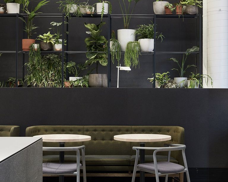 مبانٍ مهجورة منحتها الفرصة الثانية حياة جديدة