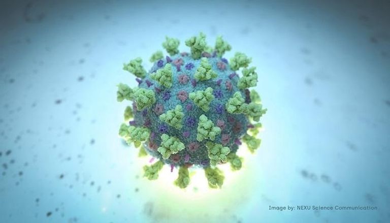 نموذج هيكلي لفيروس كورونا – رويترز 