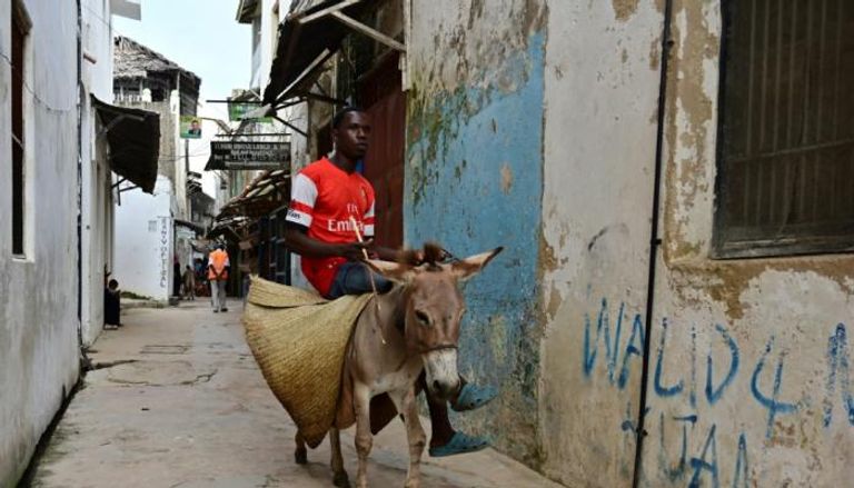 رجل يتنقل على ظهر حمار في شارع لامو في كينيا