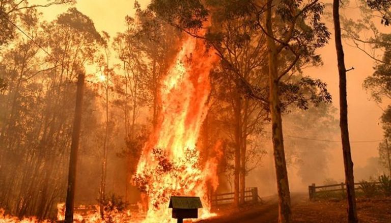 خطر حرائق الغابات لا يزال يحاصر أستراليا