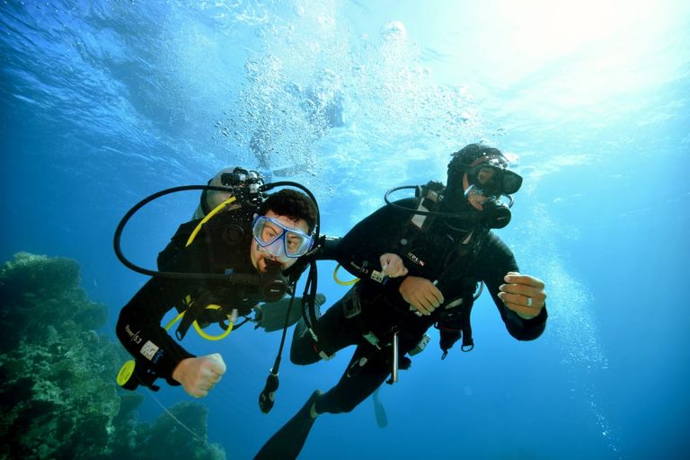 محمد كرم غواص مصري من أصحاب الهمم أثناء رحلته لدعم السياحة محمد كرم غواص مصري من أصحاب الهمم يدعم السياحة البيئة