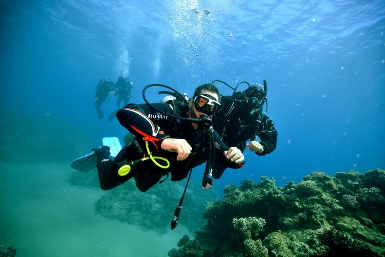 محمد كرم غواص مصري من أصحاب الهمم أثناء رحلته لدعم السياحة محمد كرم غواص مصري من أصحاب الهمم يدعم السياحة البيئة