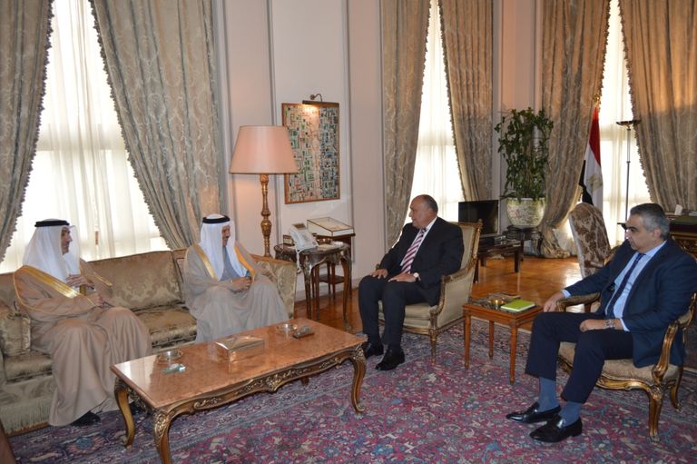 مصر والبحرين تؤكدان رفض أي تدخلات بشؤون الدول العربية - صورة 2