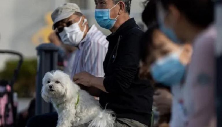 سلطات هونج كونج وجّهت بعدم تقبيل الحيوانات 