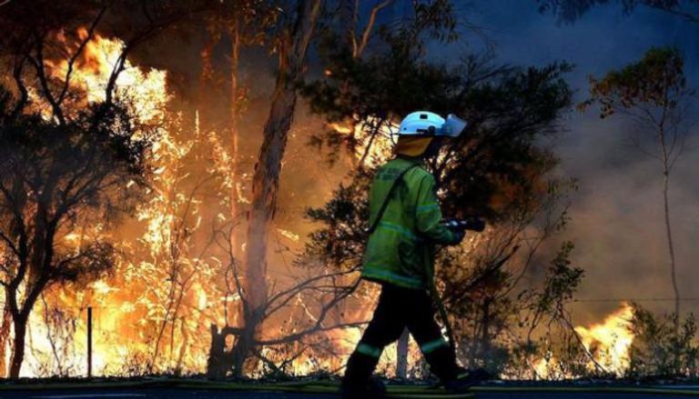 أستراليا شهدت هذا الصيف أحد أسوأ مواسم حرائق الغابات 