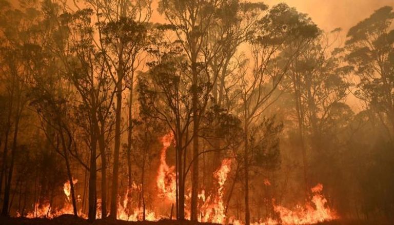 حرائق الغابات في أستراليا 