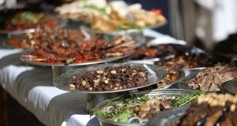 أنواع مختلفة من الأطعمة