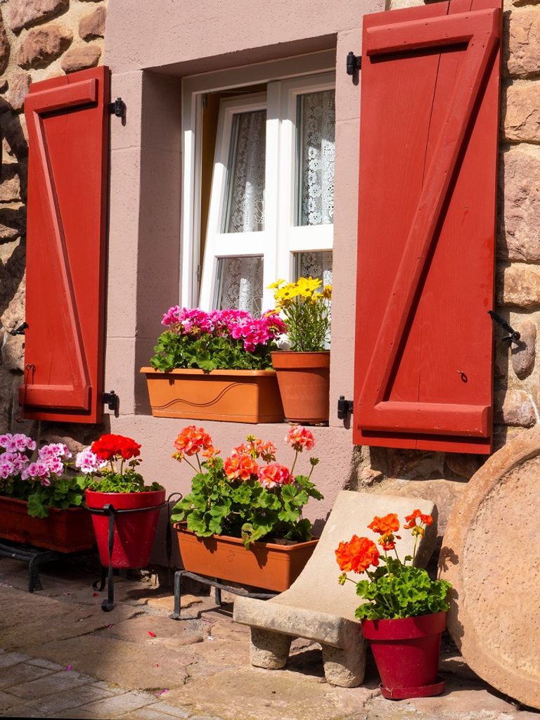 الكثير من الخرافات تنعش سياحة الأساطير في وادي بازتان