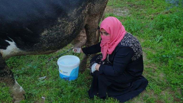 البطالة تصل إلى أكثر من 50% في قطاع غزة وترتفع إلى 70% في أوساط الشباب