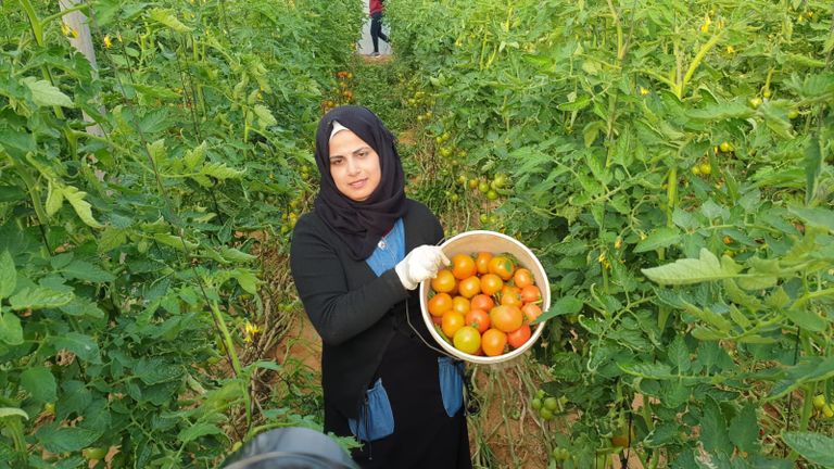 البطالة تصل إلى أكثر من 50% في قطاع غزة وترتفع إلى 70% في أوساط الشباب