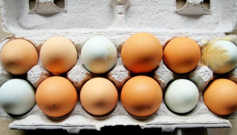 مزارعون يحثون على الحد من شراء البيض ذي القشرة البنية - أرشيفية