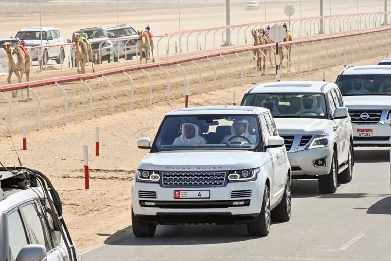 جانب من الفعاليات