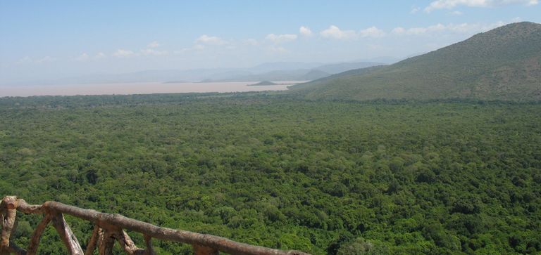 جانب من احتفالية الحكومة لتكريم قومية جاموا