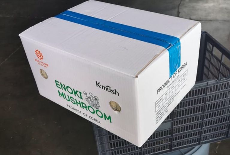 البكتيريا اكتشفت في شحنة فطر