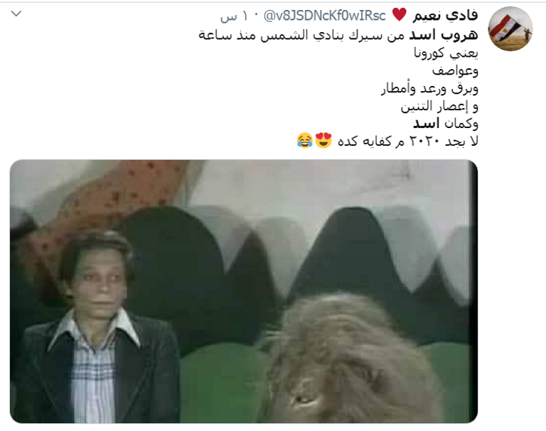 أسد يجلس داخل قفصه - أرشيفية