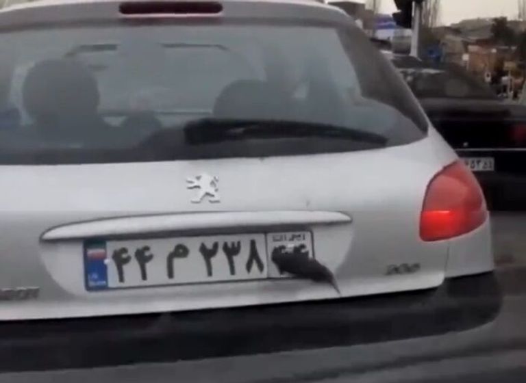 جانب من المقاطع المصورة المتداولة في إيران