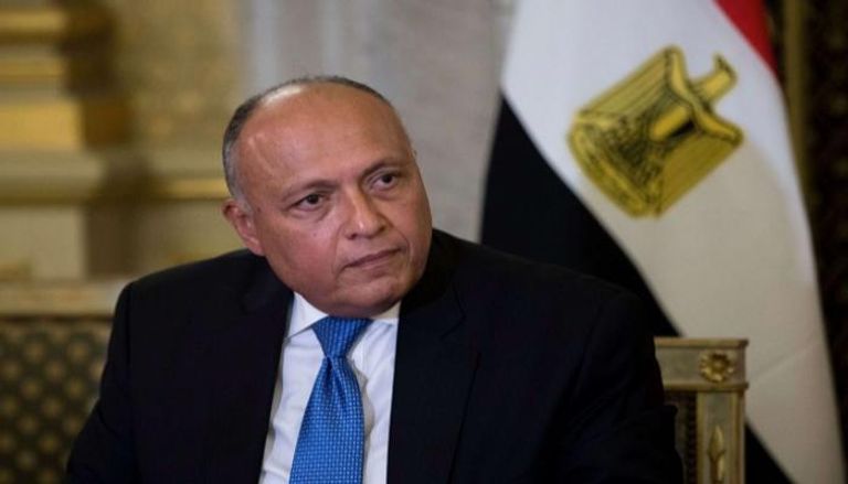 وزير الخارجية المصري سامح شكري - أرشيفية